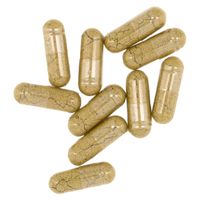 Terranova Easy Iron Complex